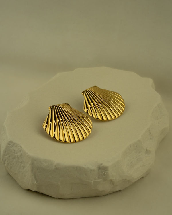Shell
