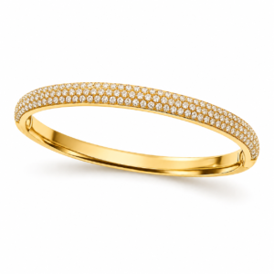 07DD0774-96BE-4696-8C6B-A22D753B2EA8 Nova Bangle